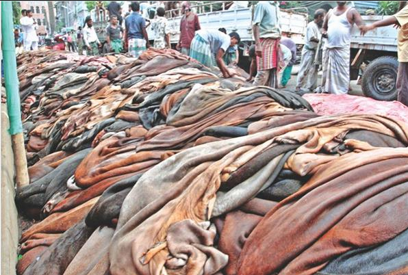Leather Export From Bangladesh photo